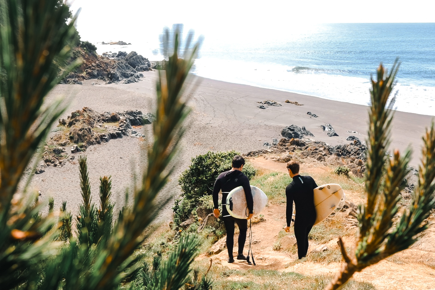 Surfistas bajando al mar