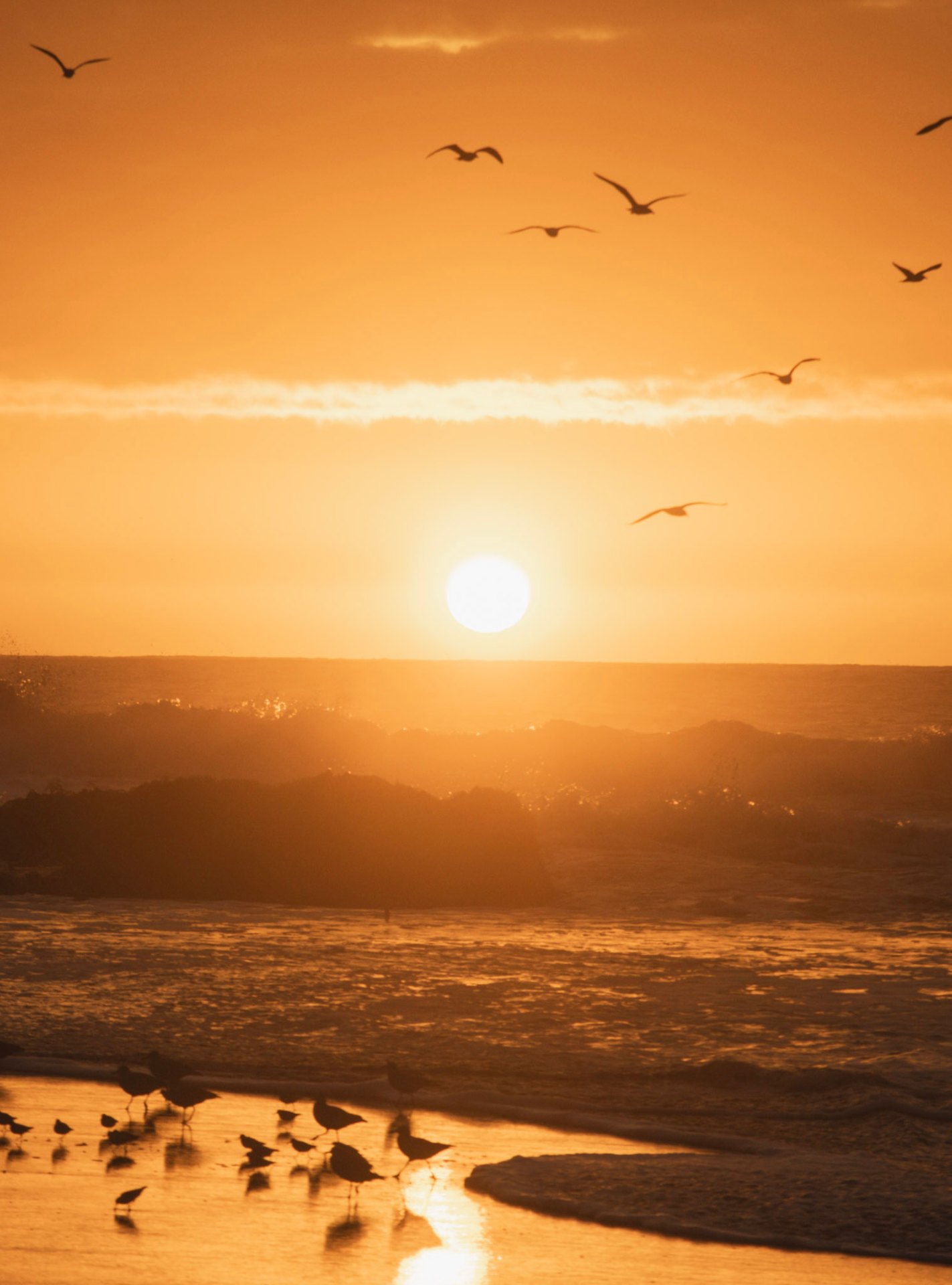 Atardecer en la costa de Curanipe con gaviotas sobre el mar
